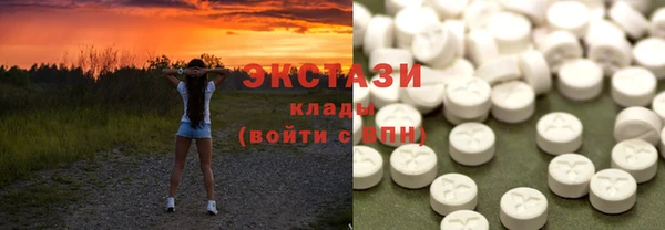 ECSTASY Богородицк