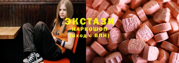 ECSTASY Богородицк